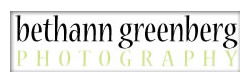 Bethann Greenberg photography websites,San Diego Wedding Photographer, San Diego Engagement Photographer, Engagement Photographer, Wedding, Engagement Photographs, Portraits, Wedding Photographs, Wedding pictures and more.